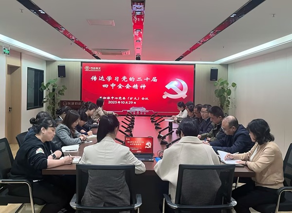 学习宣传贯彻党的二十届四中全会精神